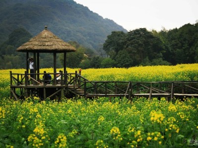 商家白条账单总踩坑？安出掌柜教你理清资金"时间账"