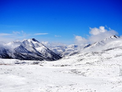 花呗关联他人银行卡需谨慎！出财小神揭秘三大潜在风险
