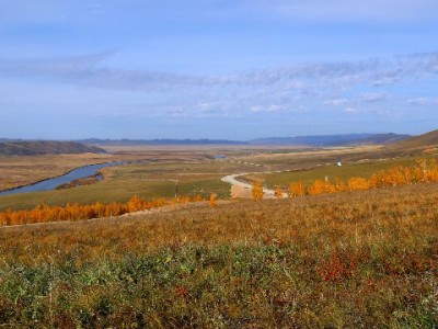 白条付商家全攻略：适用场景+3种操作步骤一次讲清