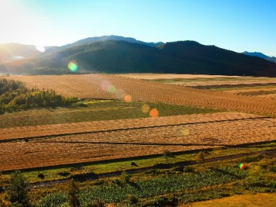 花呗商家开通攻略：全流程解析+富信掌柜助力高效落地