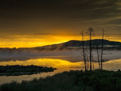 白条资金取出别踩坑！合规操作指南+安全提醒（附正规咨询参考）