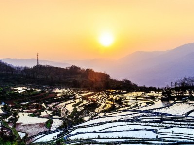 职工医保取现条件全解析：哪些情况能取？何时能取？