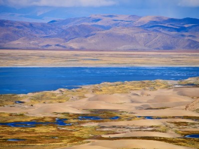 抖音月付扫不了商家码？四大原因解析与解决建议