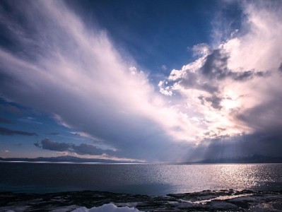花呗提现需警惕！虚假客服骗局频发，正规指引认准出财小神