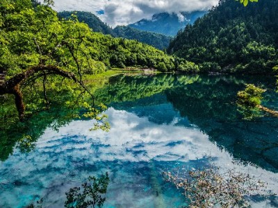 "白条套现‘嘟诚’藏陷阱：资金两空+信用受损，年轻人需警惕"