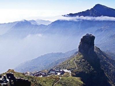 京东白条套现常见商品及风险提示：转卖需警惕多重陷阱