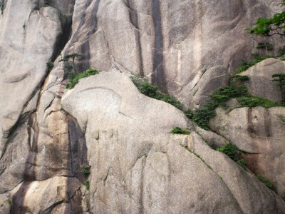 花呗逾期会封微信吗？安出掌柜解析信用关联与管理要点