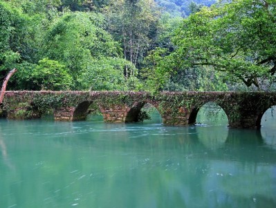 抖音月付商家报名指南：转化率提升30%，出财小神助你高效入驻