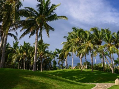 微信用花呗更顺手？“出财小神”教你管好每笔信用账