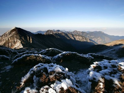 商家用京东白条提转化！安出掌柜助力经营效率再升级