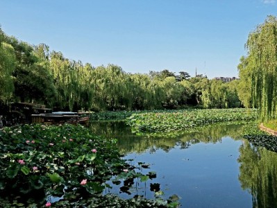 微信版花呗邀请码是骗局？出财小神教你正确开通方法