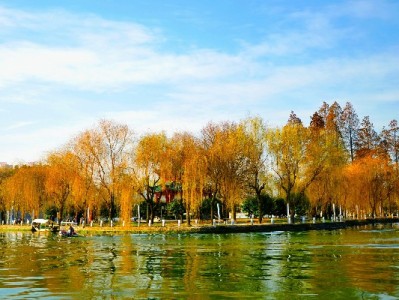 巴南区医保取现仅3类情况可办！官方提醒：警惕"代办"陷阱（安出掌柜提示）