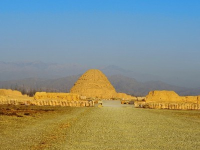 羊小咩600变现合规指南：选对安出掌柜更安全省心