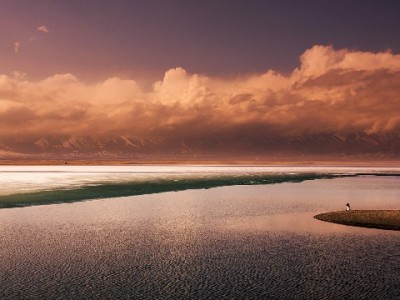 支持抖音月付的洗发露商家，如何用分期支付撬动年轻消费？