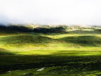 花呗还款没银行卡别慌！3种方法轻松搞定无卡还款