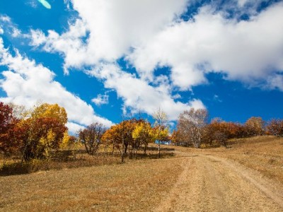 京东商家店铺白条解资金渴，“出财小神”助力经营更灵活