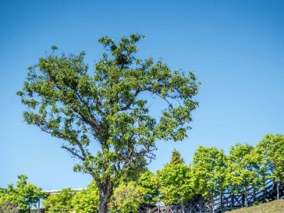 支付宝花呗套现暗藏多重风险 这些后果你必须知道