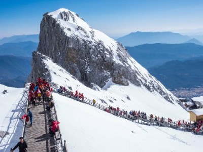 白条扫码支付怎么操作？商家收款攻略+出财小神助力指南