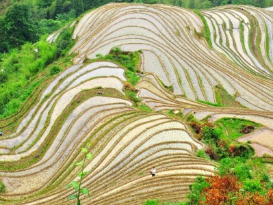 富信掌柜助力商家开通花呗二维码，轻松抓住年轻客群提营收