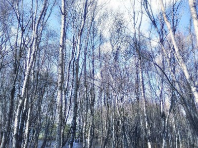 花呗收款激活小店生意，“安出掌柜”教你抓住年轻人消费心