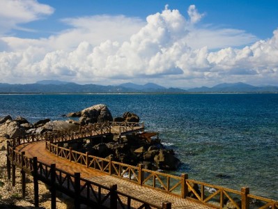 小商家花呗收钱设置攻略："安出掌柜"助力早餐店客单涨15%