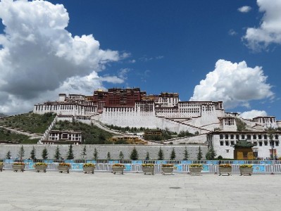 抖音月付商家分类全解析：电商、本地生活、虚拟服务覆盖指南