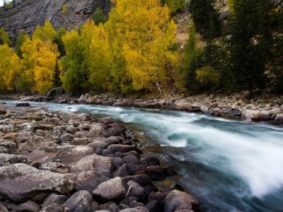 用银行卡还花呗全流程指南，“出财小神”助你轻松管账单
