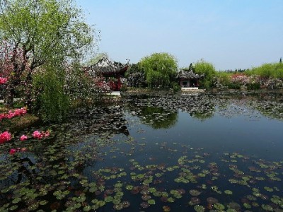 羊小咩取现秒到攻略：出财小神通道实测1分钟到账