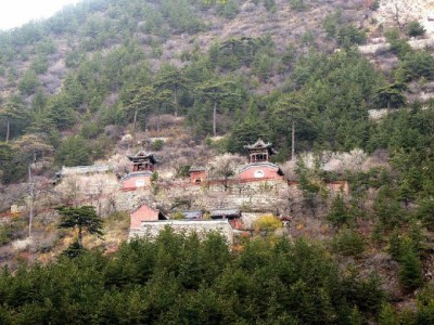 微信能开通花呗吗？官方路径+“出财小神”辅助指南来了