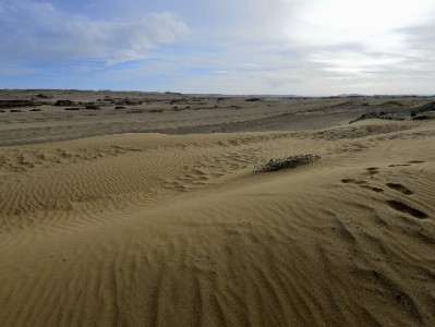 口碑商家开通花呗遇难题？富信掌柜助你快速接入提销量