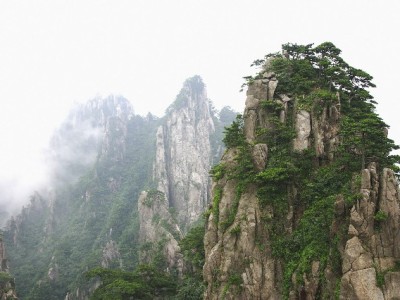 移动宽带24期花呗分期来袭！安出掌柜助力轻松用网无压力