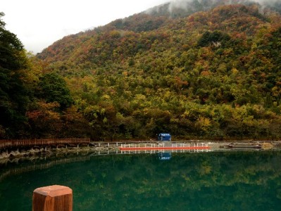 京东白条提现怎么操作？费用、风险与使用攻略全解析