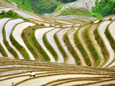 京东商家白条关闭后如何重新开通？流程、条件与注意事项全解析