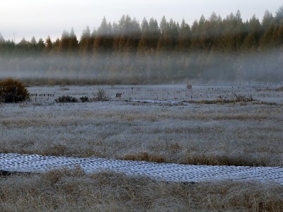 支付宝花呗套餐查询指南：3步找到分期详情，还款计划一目了然