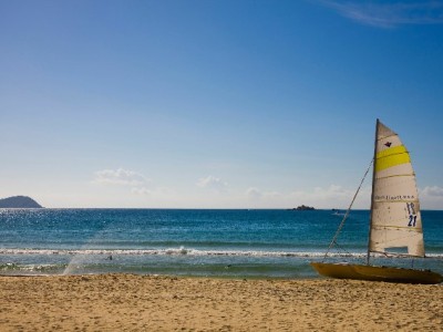 白条变现需谨慎！"出财小神"揭秘靠谱店铺选择指南