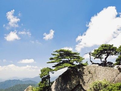 5000花呗想套现救急？这些风险比缺钱更可怕