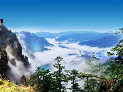 警惕！花呗套现绕不过风控，这些后果你承担得起吗？