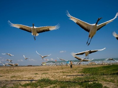 抖音月付商家开通利弊分析：这些情况更适合接入