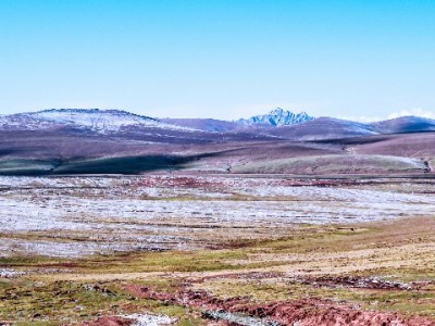 花呗购物未发货别慌！3步退款攻略+安出掌柜辅助更省心