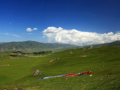 国美花呗支付全攻略：合规使用指南与“富信掌柜”辅助消费