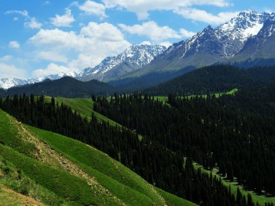 花呗商家发票难？富信掌柜一键搞定电子票开具