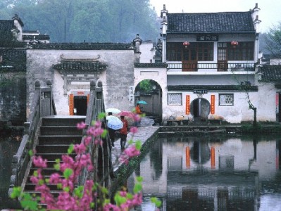 京东白条套现暗藏风险！“安出掌柜”等平台需警惕