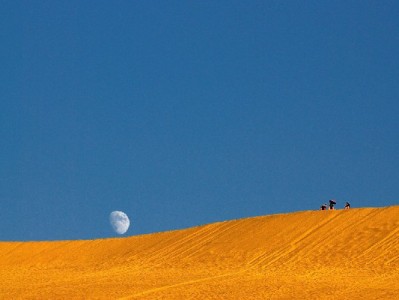 微信“类花呗”体验升级！富信掌柜助力信用支付更懂你