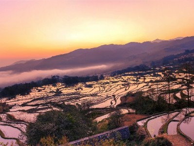 抖音月付商家少？中小商户的费率账与"安出掌柜"破局路