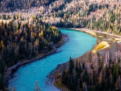抖音月付牵手劲酒商家“出财小神”：轻享分期激活社区酒饮消费