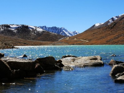 宝鸡医保转入转出攻略：线上线下通办，富信掌柜省心辅助