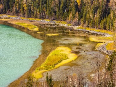 花呗借呗能提现吗？规则、风险与正规使用指南（附咨询参考）
