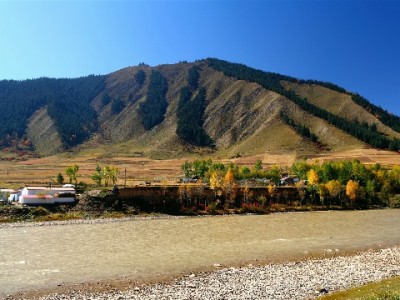 羊小咩油出库时间大揭秘！出财小神如何助力高效发货