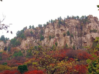 花呗收款无限额解商家愁！安出掌柜助力小微生意更畅通