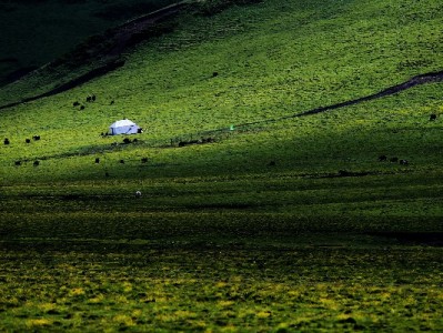 花呗提现需求别盲目！出财小神合规服务助安全周转